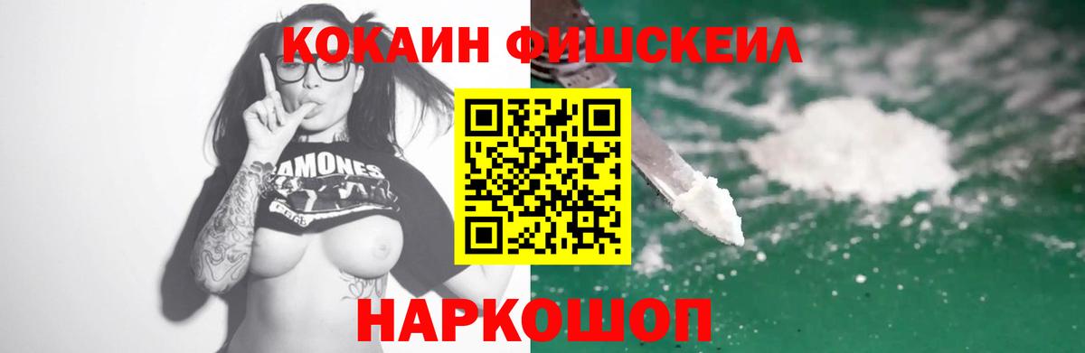 Гатчина  COCAIN Fish Scale  Вход с VPN  COCAIN FishScale 