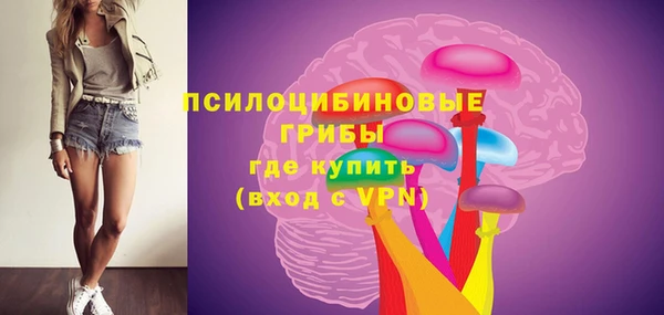 МДПВ Белокуриха