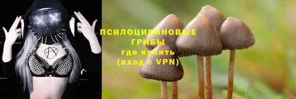 МДПВ Белокуриха