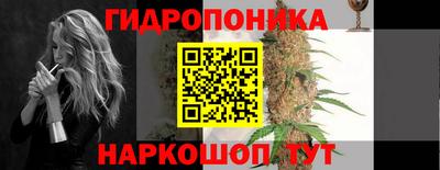 соль ск Бийск