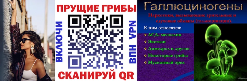 Псилоцибиновые грибы Psilocybe  MEGA ONION  Гатчина 