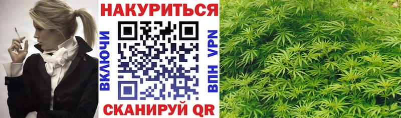 как найти наркотики Гатчина Бошки марихуана индика